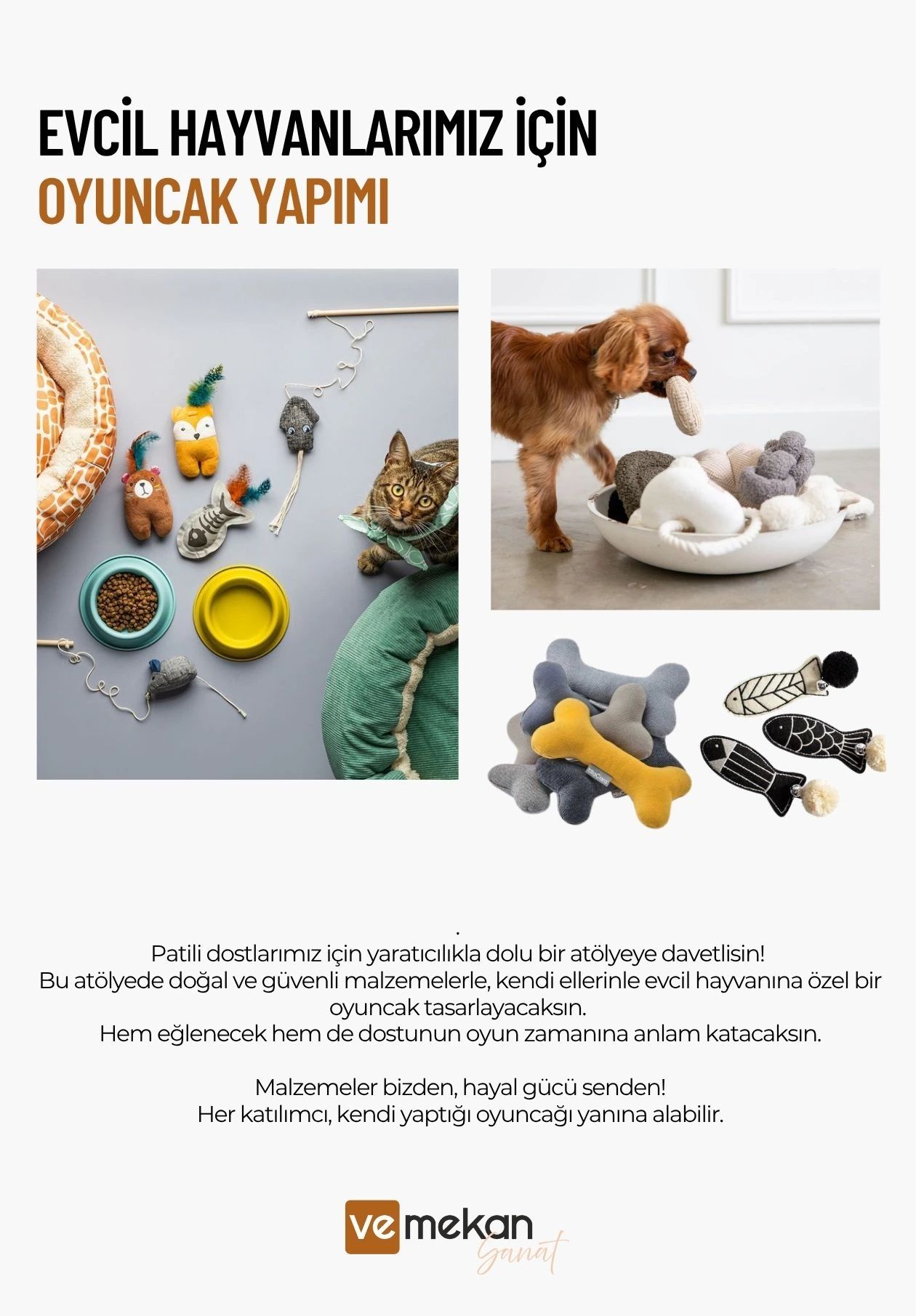 Workshop: Evcil Hayvanlarımız İçin Oyuncak Yapımı | veMekan