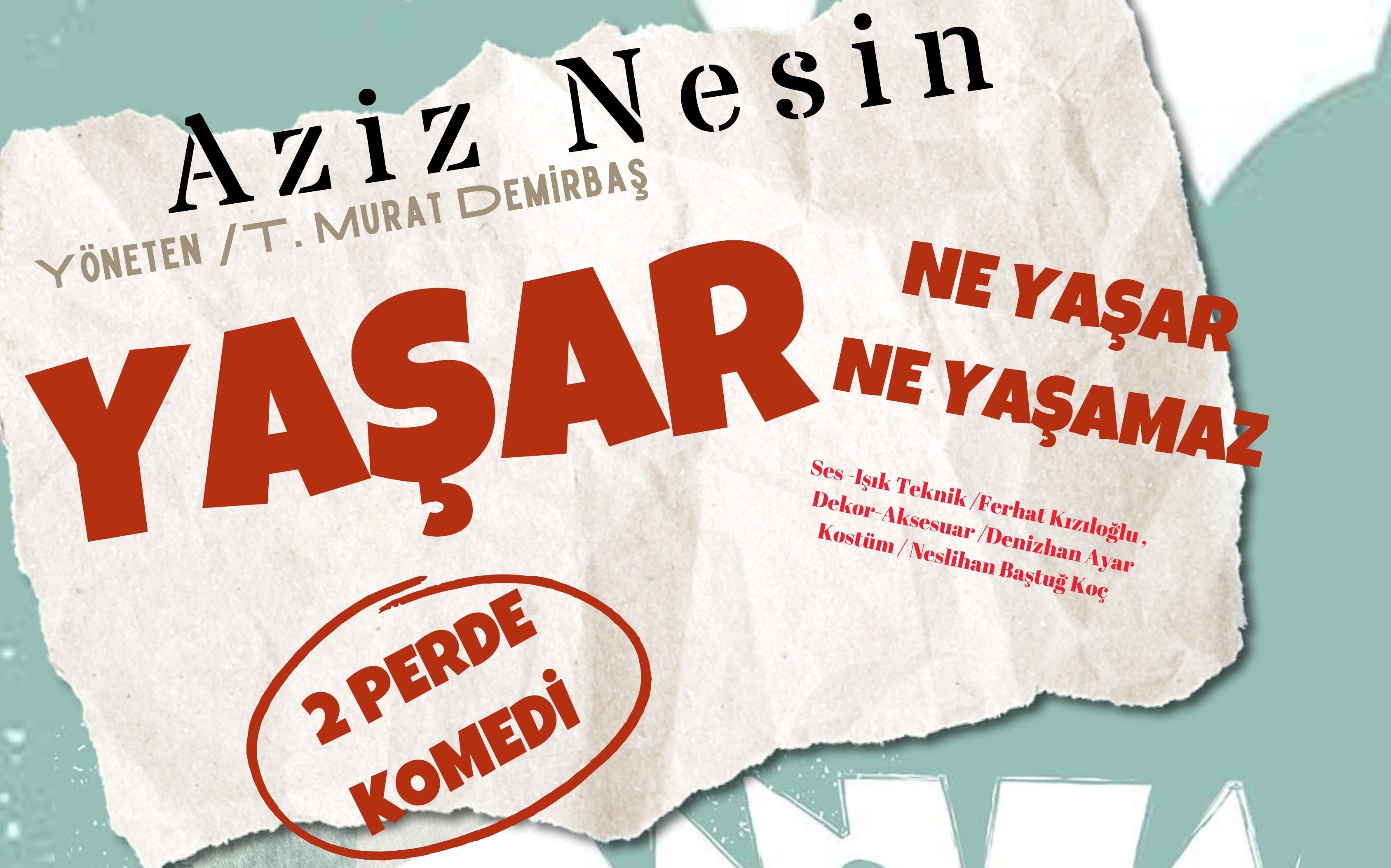 Yaşar Ne Yaşar Ne Yaşamaz poster
