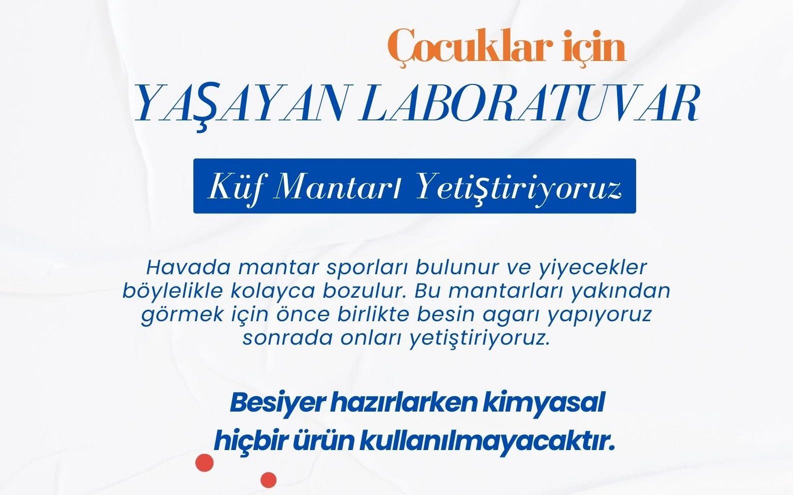 Yaşayan Laboratuvar