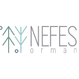 Nefes Sahne / Nefes Orman görseli