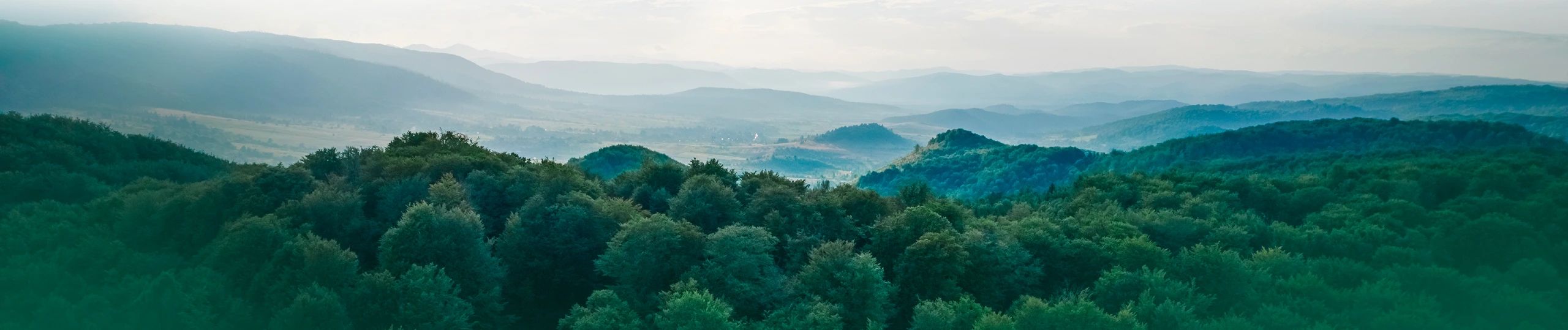 Nefes Sahne / Nefes Orman görseli