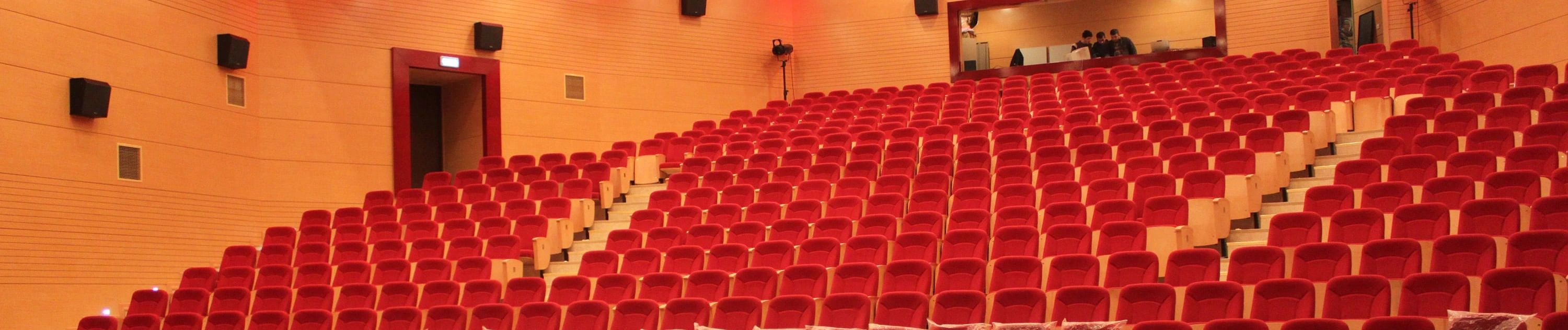 Ordu Devlet Tiyatrosu Sahnesi görseli