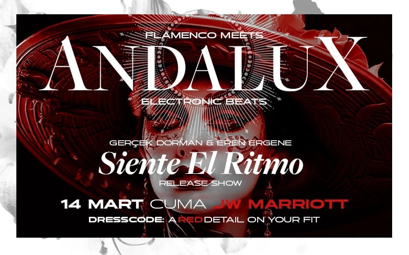 AndaluX: Flamenco Meets Electronic Beats