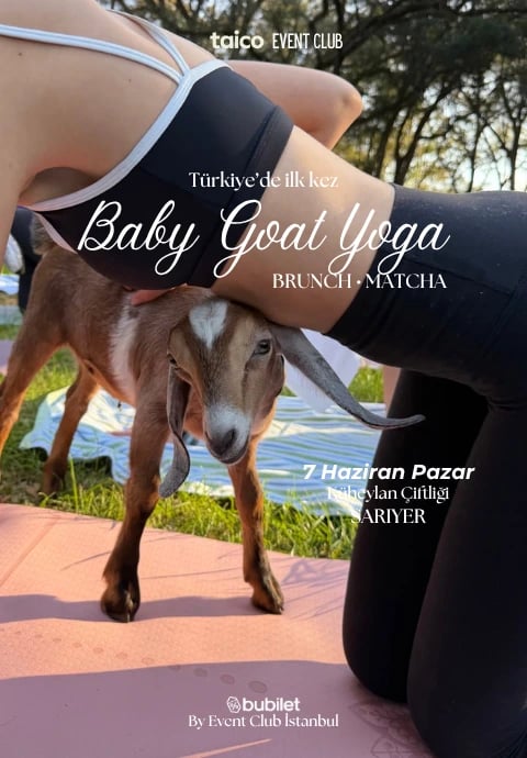 Baby Goat Yoga