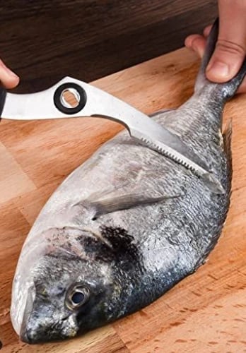 Balıklar Ve Pişirme Teknikleri | Atölye: EKS Mutfak