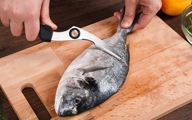 Balıklar Ve Pişirme Teknikleri | Atölye: EKS Mutfak