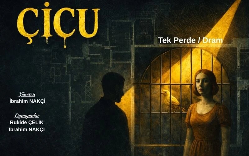 Çiçu Tiyatro Oyunu poster