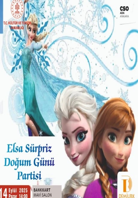 Elsa Sürpriz Doğum Günü Partisi