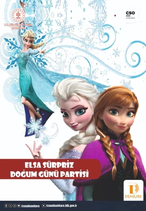 Elsa Sürpriz Doğum Günü Partisi