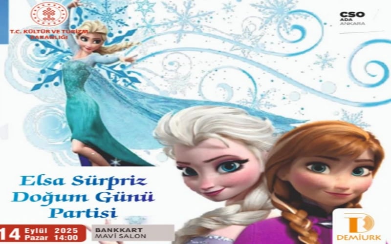 Elsa Sürpriz Doğum Günü Partisi