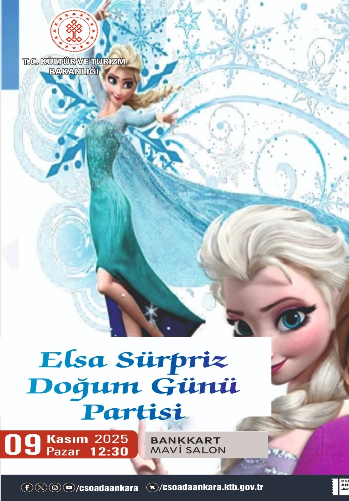 Elsa Sürpriz Doğum Günü Partisi