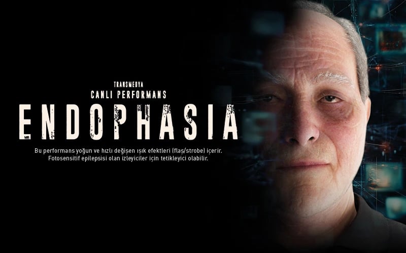 Endophasia poster