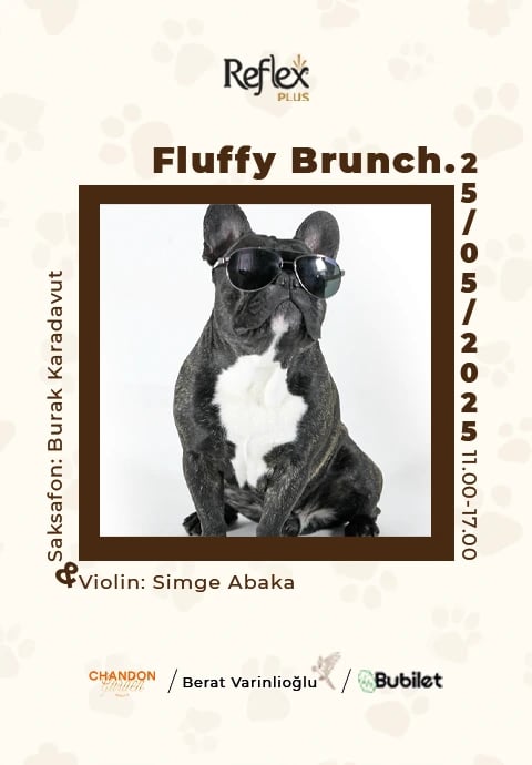 Fluffy Brunch