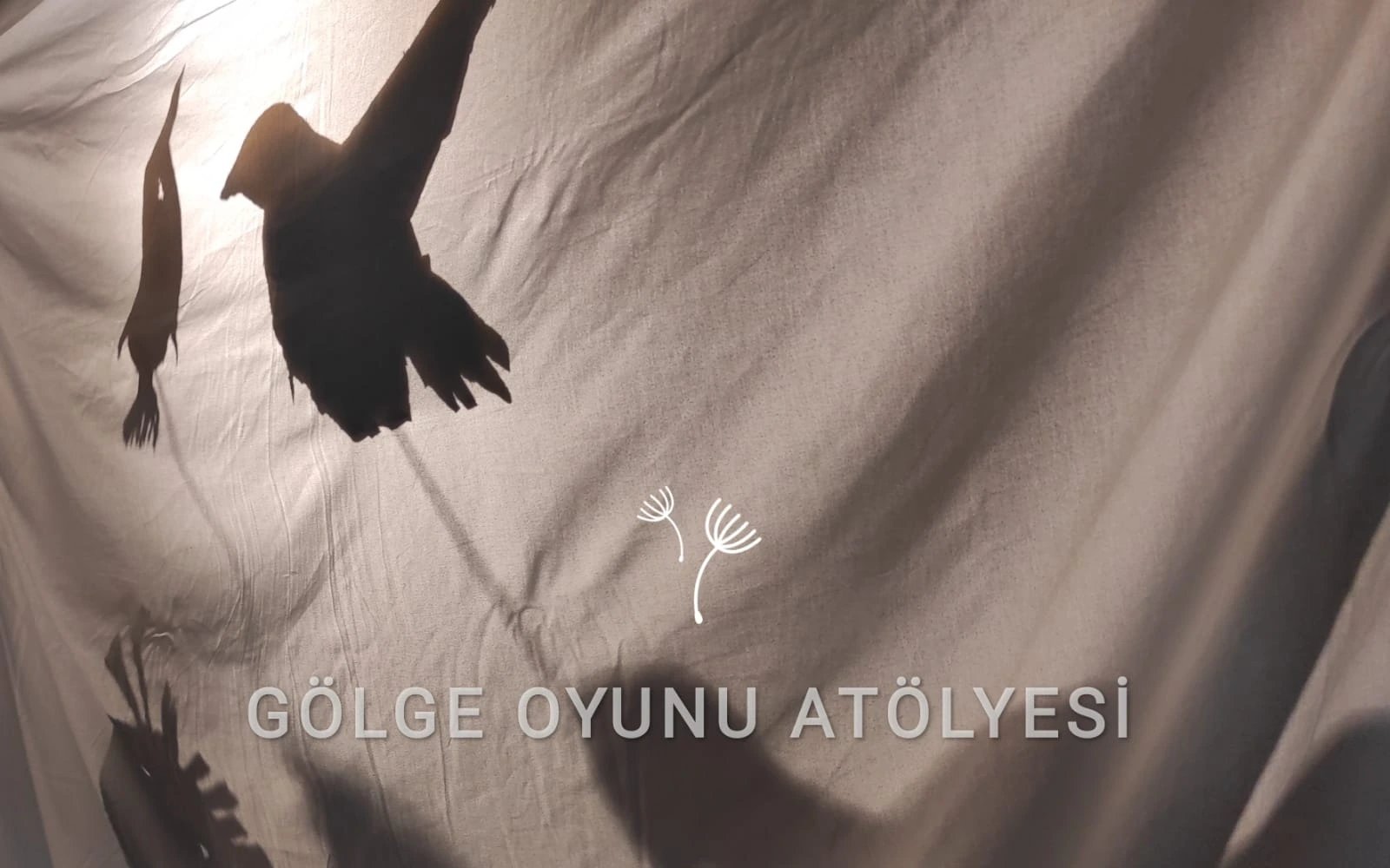 Gölge Oyunu Atölyesi poster