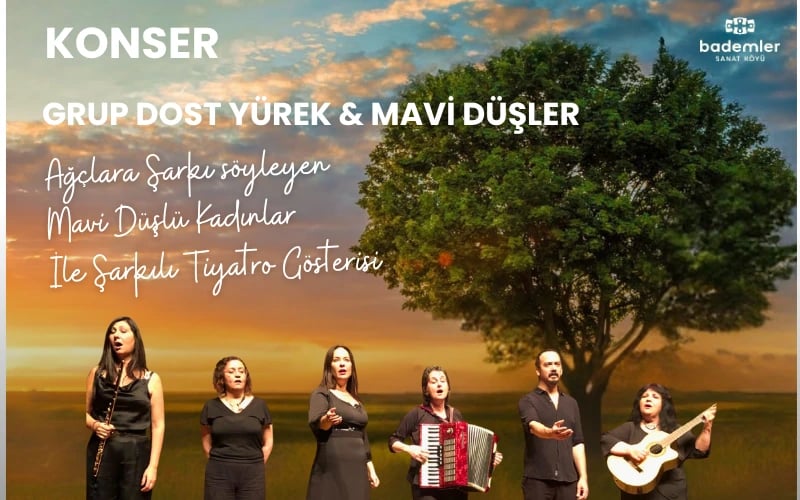 Grup Dost Yürek ve Mavi Düşler Konseri poster