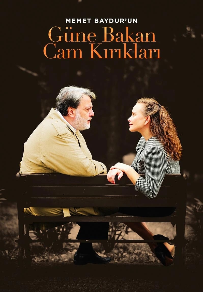 Güne Bakan Cam Kırıkları