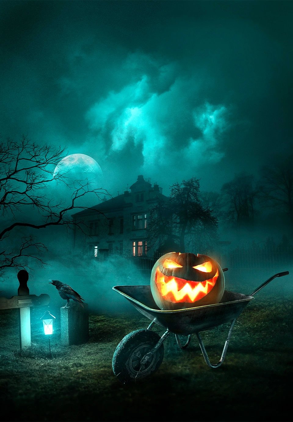 Halloween Boo 8