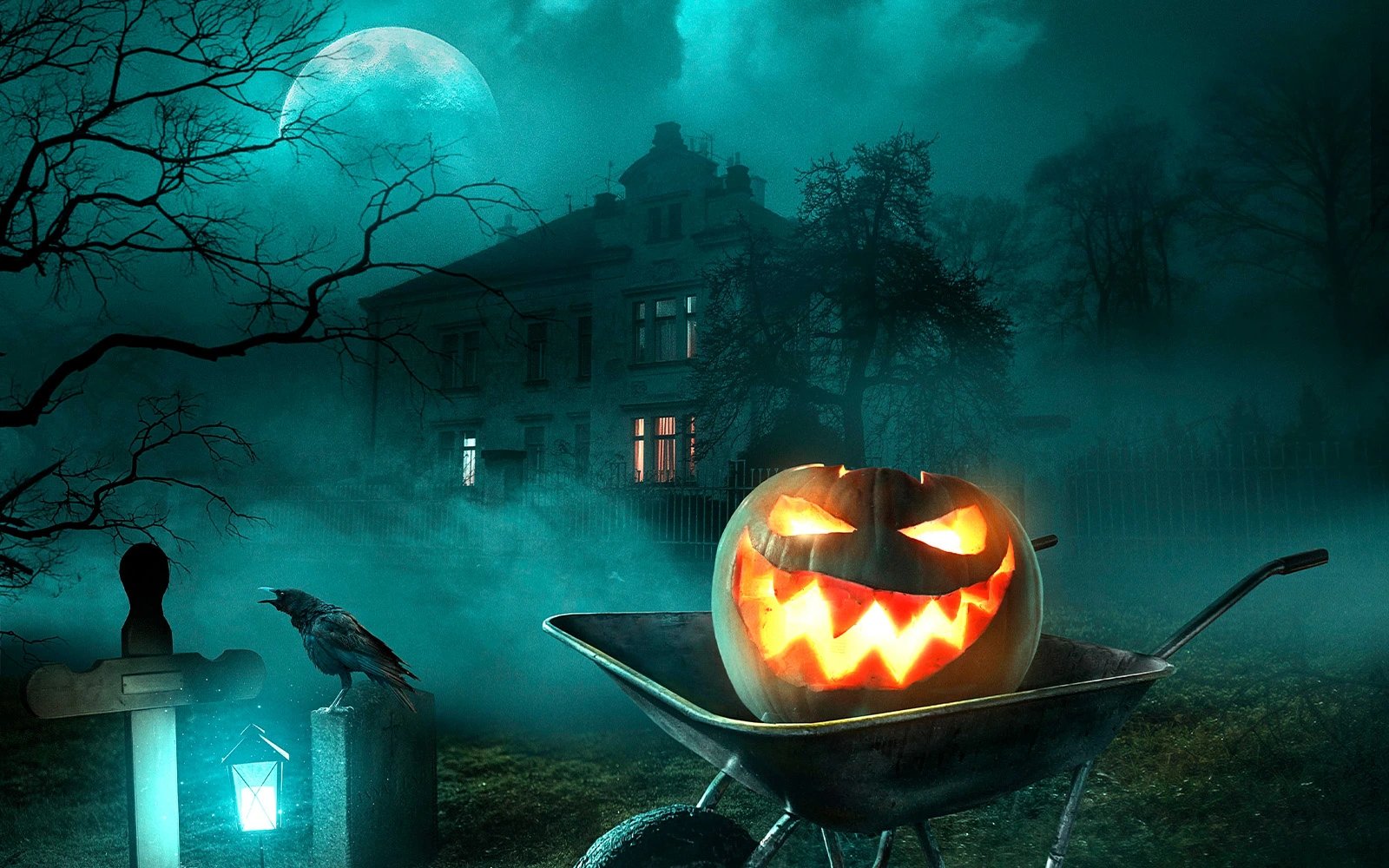 Halloween Boo 8