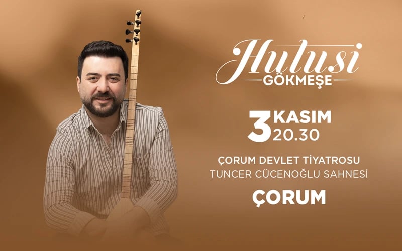 Hulusi Gökmeşe poster