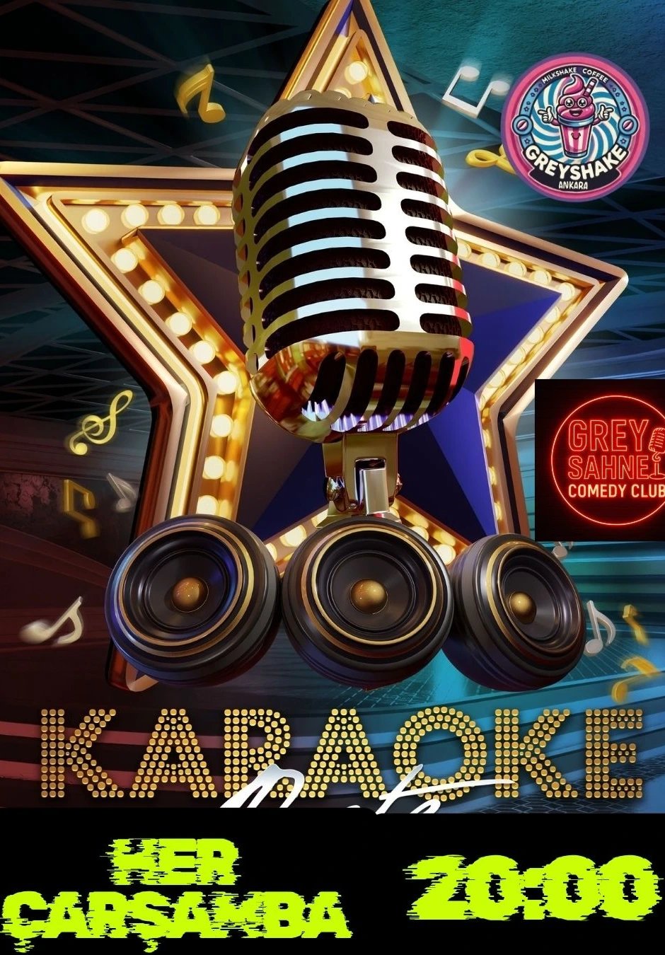 Karaoke Gecesi