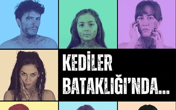 Kediler Bataklığında poster