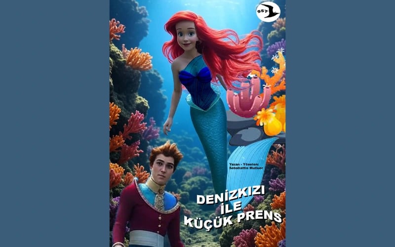 Denizkızı ile Küçük Prens Oyunu poster
