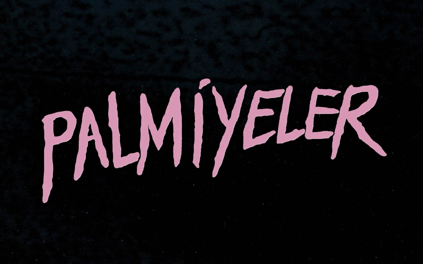 Palmiyeler Konseri poster