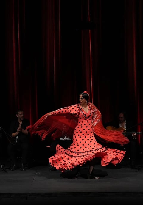Naturalmente Flamenco – Patricia Ibáñez Romero