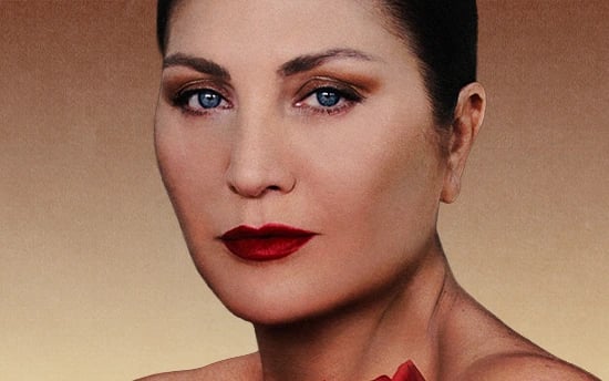 Sibel Can Konseri poster