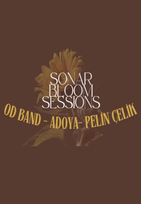 Sonar Bloom Sessions