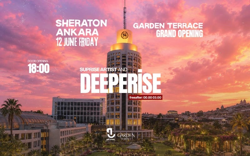 Suprise Artist and Deeperise poster