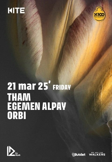 THAM & EGEMEN ALPAY & ORBI