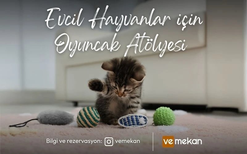 Workshop: Evcil Hayvan Atölyesi | veMekan