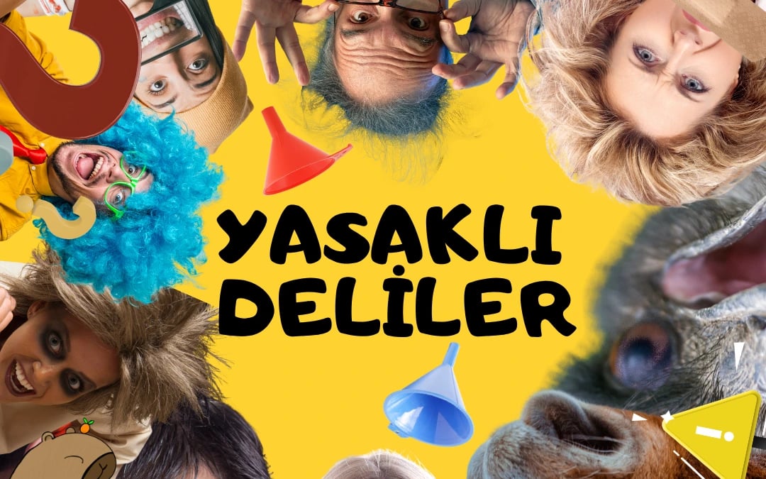 YASAKLI DELİLER poster