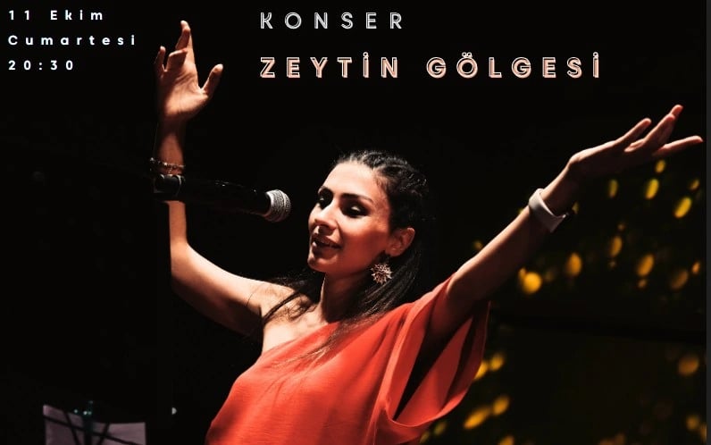 Zeytin Gölgesi Konseri poster