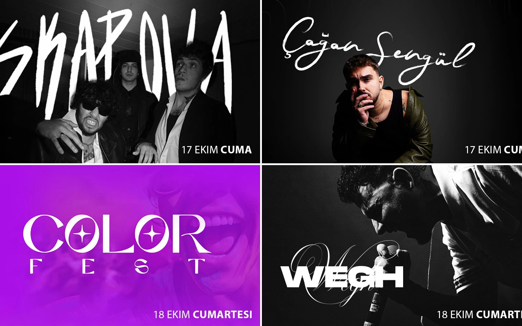 Zonguldak Müzik Festivali
