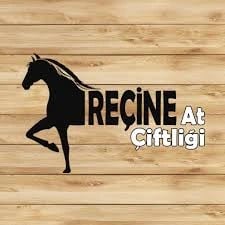 Reçine At Çiftliği Logo