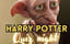 Harry Potter Quiz Night poster