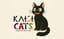 KatotCats Doğaçlama Tiyatro Gösterisi poster