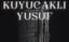 Kuyucaklı Yusuf poster