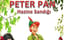 Peter Pan Müzikli Çocuk Oyunu poster