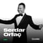 Serdar Ortaç poster