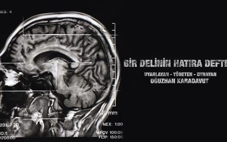 Bir Delinin Hatıra Defteri - Oğuzhan Karadavut