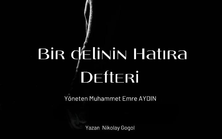 Bir Delinin Hatıra Defteri - Muhammet Emre Aydın