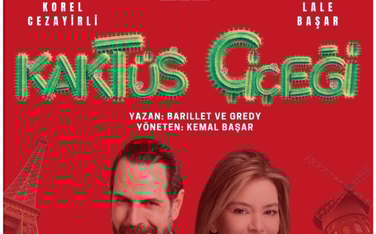 Kaktüs Çiçeği