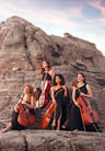 Cello Paradiso 