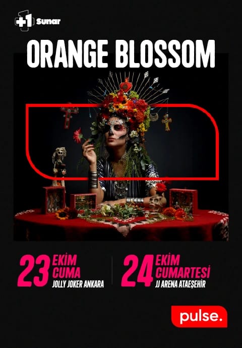 +1 Sunar: Orange Blossom