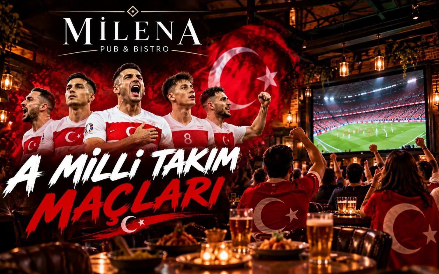 A Milli Takım Maçları