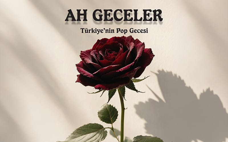 Ah Geceler 