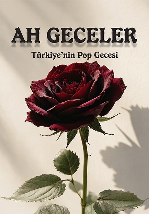 Ah Geceler 
